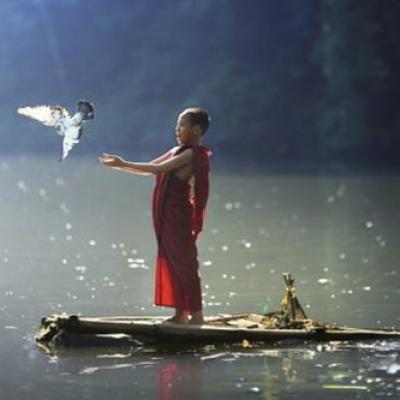 Phật Pháp Vấn Đáp: Thiên Tai, Động Đất, Sóng Thần Có Phải Do Chiêu Cảm Của Việc Sát Sanh Và Nạo Phá Thai?